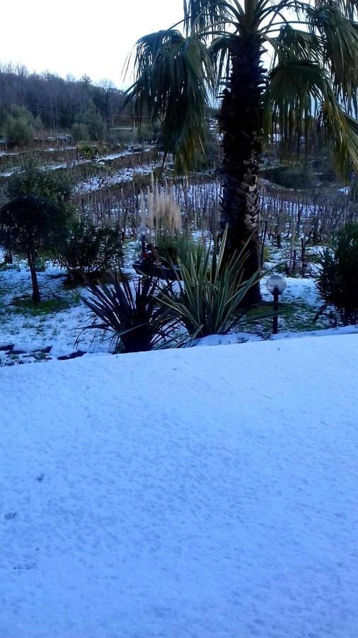 Villa Etna Masi' Milo Esterno foto