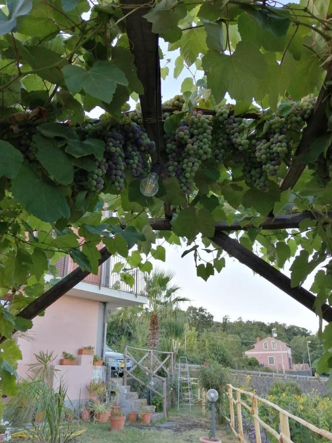 Villa Etna Masi' Milo Esterno foto