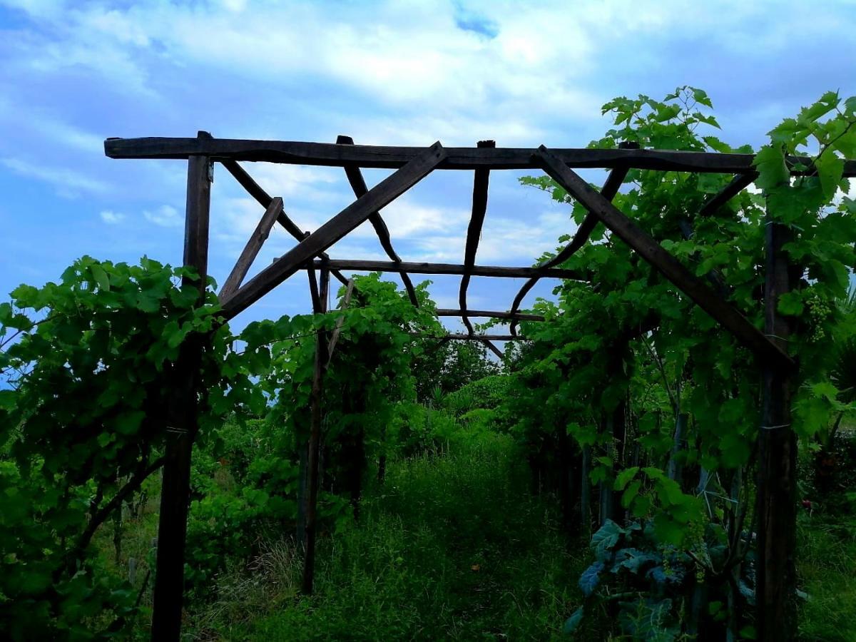 Villa Etna Masi' Milo Esterno foto