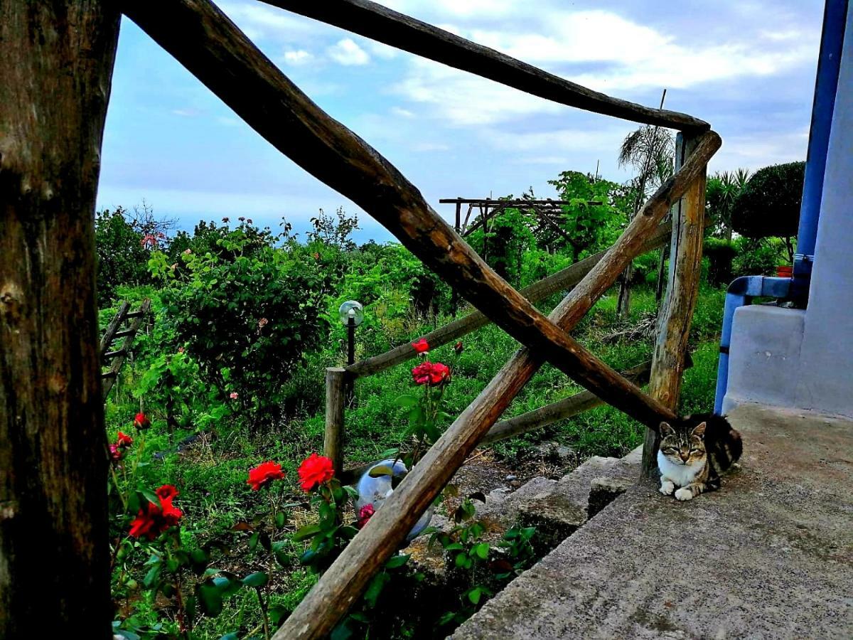 Villa Etna Masi' Milo Esterno foto